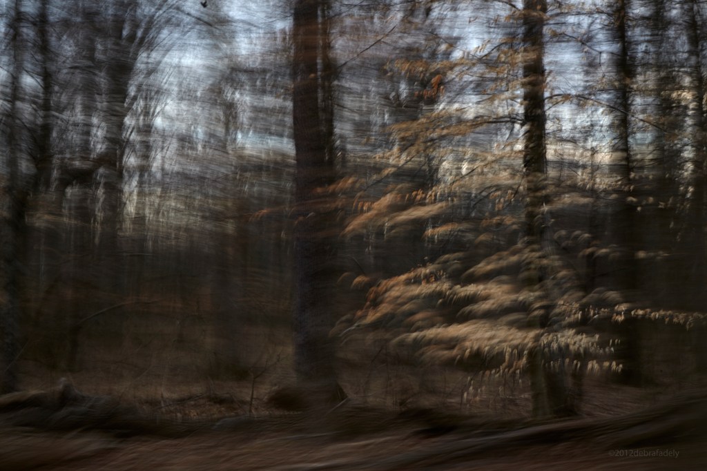 slow shutter #4. a lone&nbsp;tree…