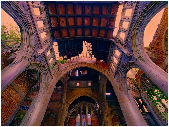 A shoot looking up in the sanctuary.