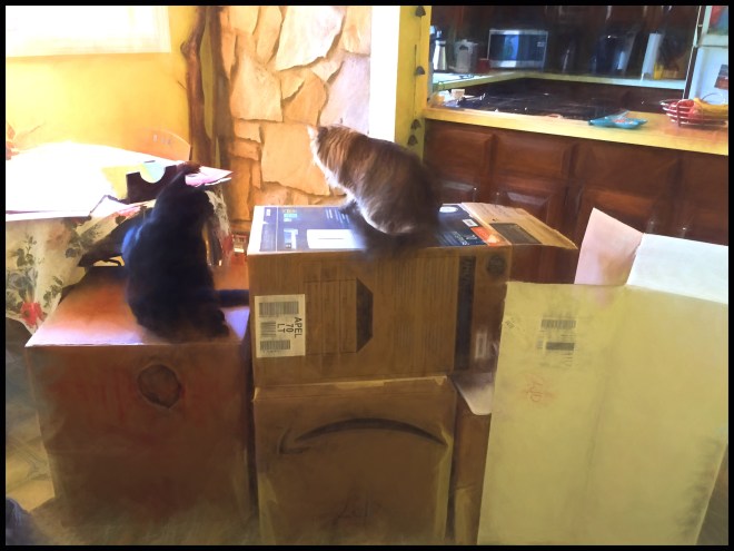 Lizzy and Pixel on their fort